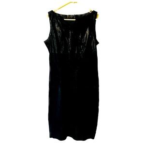 Rare! Shimmery Luxury Naser Suede Leather Dress Never Worn, with Tags!